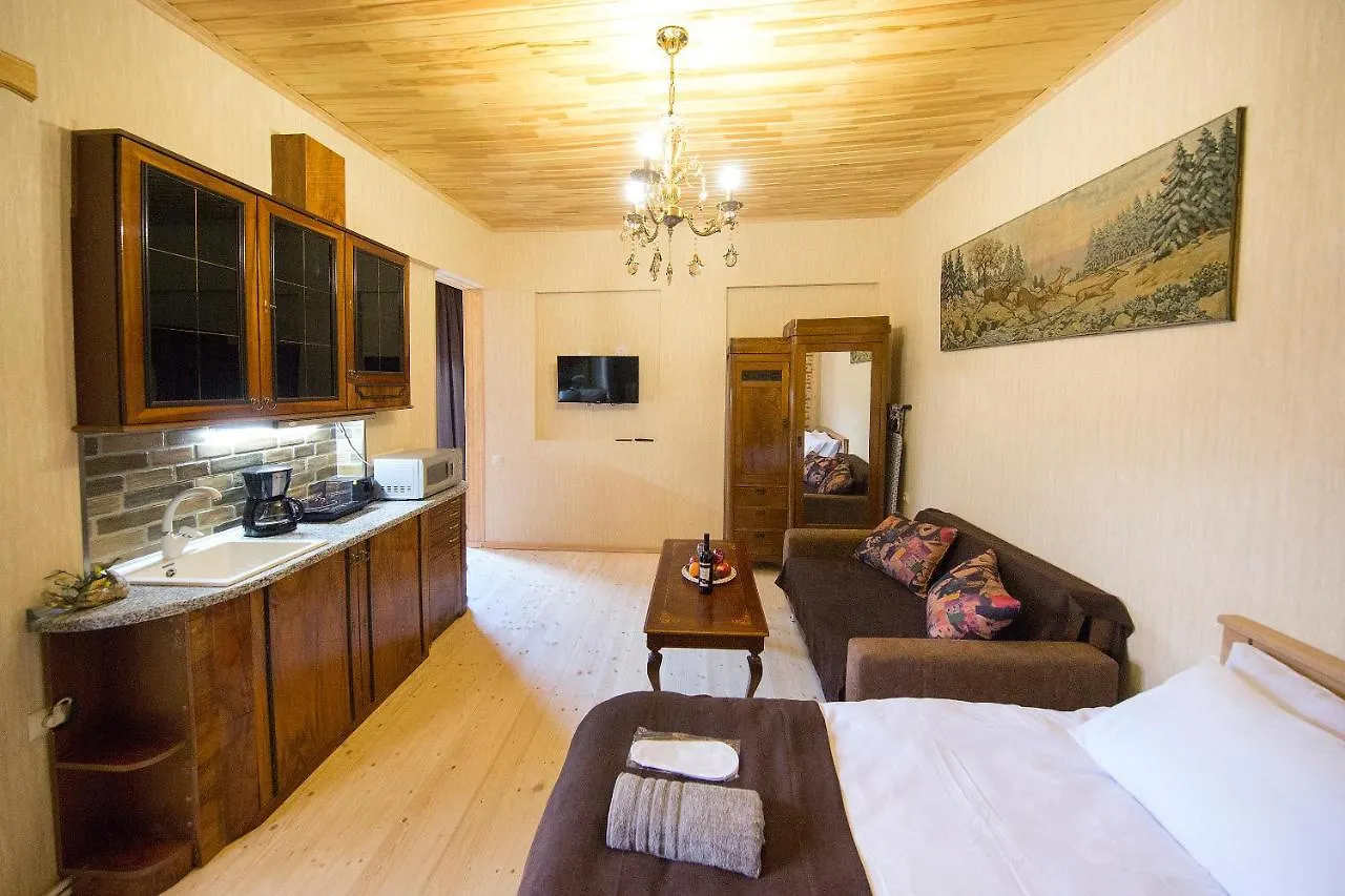Апартаменты Room 19 Тбилиси 0*,  Грузия